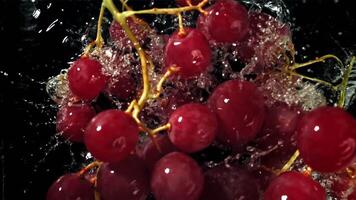 Red grapes fall with splashes into the water. Top view. Filmed on a high-speed camera at 1000 fps. High quality FullHD footage video