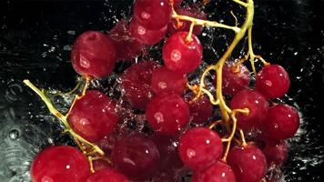 Red grapes fall with splashes into the water. Top view. Filmed on a high-speed camera at 1000 fps. High quality FullHD footage video