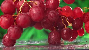 vermelho uvas outono com salpicos em uma molhado mesa. filmado em uma alta velocidade Câmera às 1000 fps. Alto qualidade fullhd cenas video