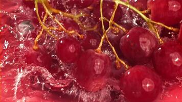 rood druiven vallen met spatten in de water. top visie. gefilmd Aan een hoge snelheid camera Bij 1000 fps. hoog kwaliteit full HD beeldmateriaal video