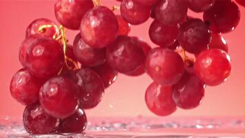 Red grapes fall with splashes on a wet table. Filmed on a high-speed camera at 1000 fps. High quality FullHD footage video