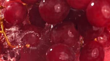 Red grapes fall with splashes into the water. Top view. Filmed on a high-speed camera at 1000 fps. High quality FullHD footage video