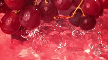 Red grapes fall with splashes into the water. Top view. Filmed on a high-speed camera at 1000 fps. High quality FullHD footage video