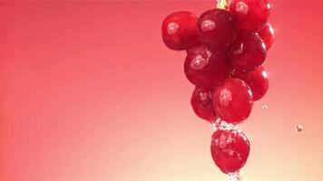 Raindrops falling on a branch of red grapes on a pink background. Filmed on a high-speed camera at 1000 fps. High quality FullHD footage video