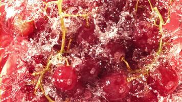 Red grapes fall with splashes into the water. Top view. Filmed on a high-speed camera at 1000 fps. High quality FullHD footage video