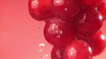 Raindrops falling on a branch of red grapes on a pink background. Filmed on a high-speed camera at 1000 fps. High quality FullHD footage video