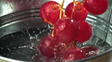 vermelho uvas outono para dentro uma balde do água. filmado em uma alta velocidade Câmera às 1000 fps. Alto qualidade fullhd cenas video