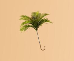 Palm Leaf Umbrella on Warm Beige Background photo