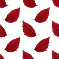 Red autumn herbarium leaf. Agriculture, eco friendly, organic farm. It's perfect for postcards, posters, banners, invitations, greeting cards, prints. Isolated png