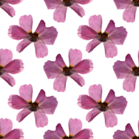 Herbarium pink flower pattern. Agriculture, eco friendly, organic farm. It's perfect for postcards, posters, banners, invitations, greeting cards, prints. Isolated png