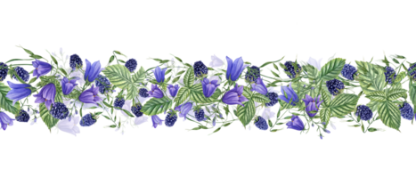 Seamless border with forest Blackberries and meadow plants. Berries, campanula, avena. Dewberry, bramble, harebells. Watercolor illustration. For template package textile. png