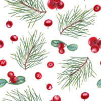 Pine Branches and Juicy red lingonberries. Seamless pattern with forest berries and evergreen twigs. Watercolor illustration for the design, textile, advertising posters png