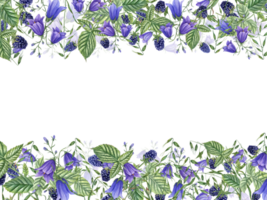 maturo more, prato impianti e fiori. orizzontale telaio con frutti di bosco, campanula, avena. mora, rovo. acquerello illustrazione. per modello pacchetto saluto. spazio per testo png