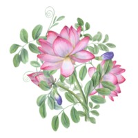 Strauß von Blau Klitoris ternatea und Lotus. Blühen Blumen, Grün Blätter. Wasserlilien, Glyzinien. Knospe, Blume, Blatt, Stengel. Aquarell Illustration zum Schöne Grüße Etikette Design png