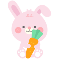 hello spring easter little bunny holding orange fresh carrot png