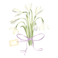 Watercolor bouquet of white snowdrops flower with bow and tag. Isolated hand drawn illustration spring blossom. Floral botanical template for postcard, packaging and tableware, textile and sticker. png