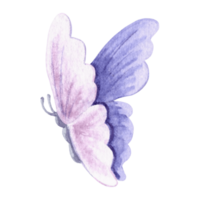 Watercolor flying butterfly delicate light violet color. Isolated hand drawn illustration spring exotic wild insect Template drawing for card, packaging and tableware, textile and sticker, embroidery. png