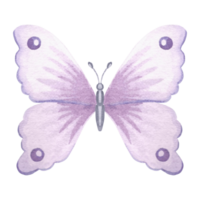 Watercolor flying butterfly delicate light violet color. Isolated hand drawn illustration spring exotic wild insect Template drawing for card, packaging and tableware, textile and sticker, embroidery. png