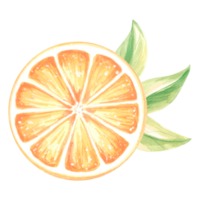 waterverf cirkel plak van oranje met bladeren. zomer citrus fruit geïsoleerd. hand- getrokken illustratie gezond aan het eten. sjabloon voor uitnodiging en kaart, afdrukken Aan verpakking, sticker, borduurwerk, textiel. png