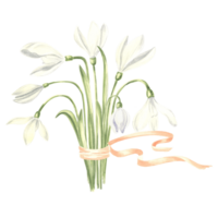 Watercolor bouquet of white snowdrops flower tied with ribbon. Isolated hand drawn illustration spring blossom. Floral botanical template for postcard, packaging and tableware, textile and sticker. png