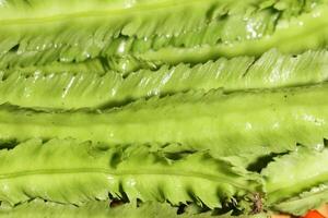 Winged bean on wooden background, Organic vegetable from local market in Southeast Asia. Healthy Green Vegetables photo