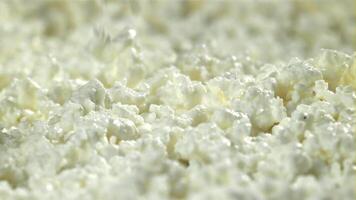 Fresh cottage cheese falls into the bowl. Filmed on a high-speed camera at 1000 fps. High quality FullHD footage video