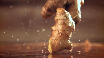 Fresh ginger falls on the table. Filmed on a high-speed camera at 1000 fps. High quality FullHD footage video