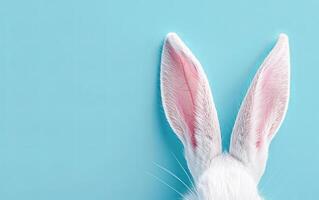 AI generated White and Pink Rabbit Ears Standing Tall Against a Soft Blue Background photo