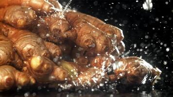 gotas de agua otoño en Fresco jengibre. filmado en un alta velocidad cámara a 1000 fps. alto calidad full HD imágenes video