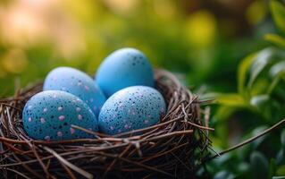 AI generated Close-Up View of Blue Speckled Eggs Nestled in a Twig Nest During Spring photo