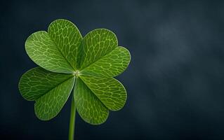 AI generated A green clover leaf isolated on a dark background photo