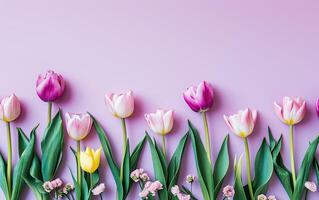 AI generated A Row of Pink and Yellow Tulips Lined Up Against a Pastel Pink Textured Background with Copy Space, Flat Lay, Overhead Shot photo