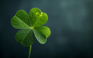 AI generated A green clover leaf isolated on a dark background photo