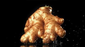 Fresh ginger falls on the table. Filmed on a high-speed camera at 1000 fps. High quality FullHD footage video