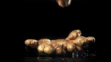 Fresh ginger falls on the table. Filmed on a high-speed camera at 1000 fps. High quality FullHD footage video