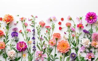 AI generated Creative layout made with beautiful flowers on a white background photo