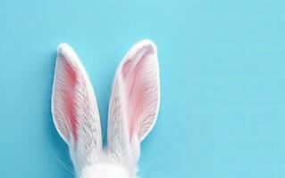 AI generated White and Pink Rabbit Ears Standing Tall Against a Soft Blue Background photo