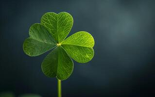 AI generated A green clover leaf isolated on a dark background photo