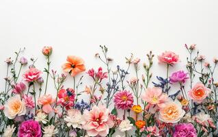 ai generado creativo diseño hecho con hermosa flores en un blanco antecedentes foto