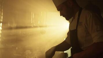 nascer do sol luzes iluminação acima a beleza do uma chefe de cozinha trabalhando video