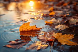 ai generado otoño hojas en agua superficie con Dom rayos y Bokeh. foto