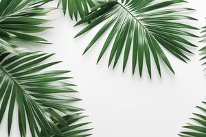 AI generated Green palm leaves on a white background. Flat lay, top view. Free space for text. photo