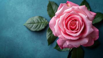 AI generated A pink rose in full bloom with green leaves against a teal background photo