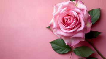 ai generado un soltero rosado Rosa con un lozano floración y vibrante verde hojas conjunto en contra un suave rosado antecedentes foto