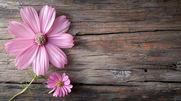 ai generado dos delicado rosado cosmos flores en un rústico de madera antecedentes foto