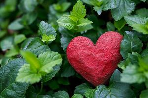 ai generado un rojo corazón es rodeado por verde hojas foto