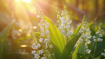 AI generated Spring flowers in sunny day in nature, Lily of the valley, Colorful natural spring background, AI generated photo