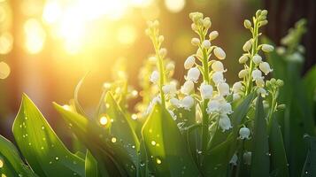 AI generated Spring flowers in sunny day in nature, Colorful natural spring background, photo