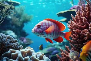 AI generated Fish over a coral reef in the sea. photo