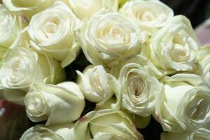 A bouquet of flowers in close-up photo